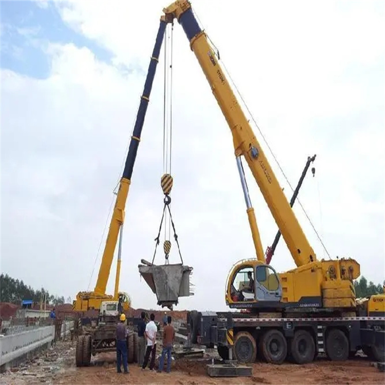 峨蔓镇小型吊机出租电话|厂房设备吊装方案|24小时服务覆盖